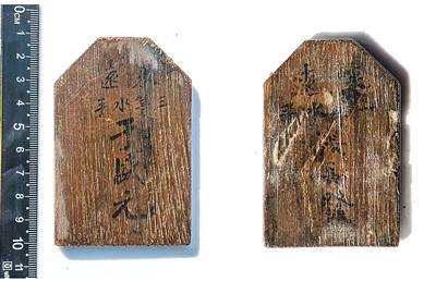 南海西北陆坡一号、二号沉船水下考古有了新进展