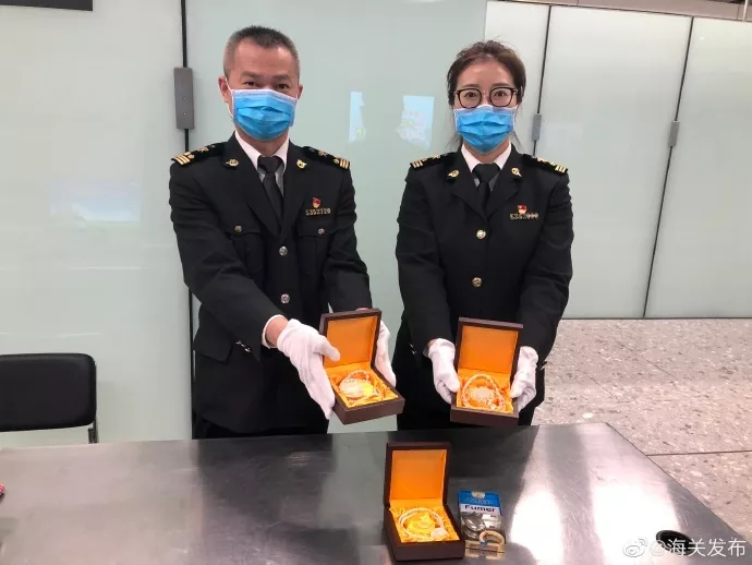 精美的象牙背后是残忍的杀戮，请拒绝象牙制品！