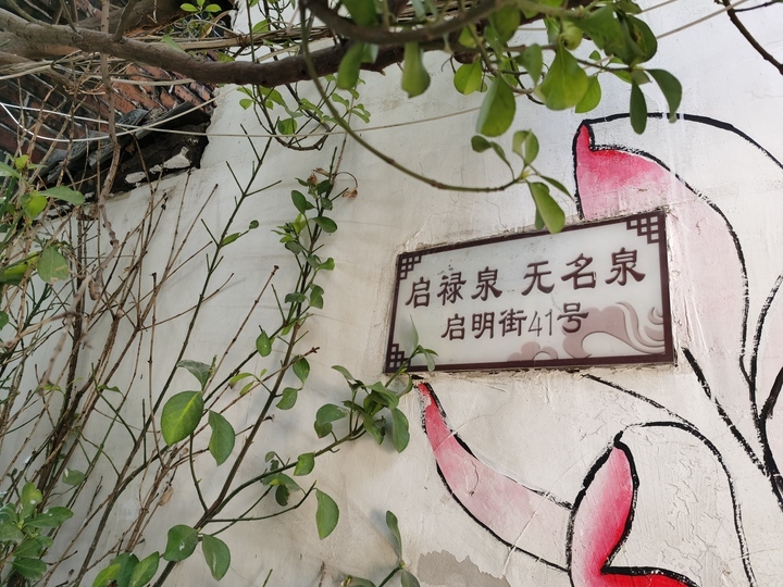 新晋名泉探访之四处“名泉”汇聚百年老街