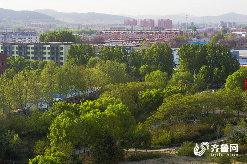 山东：科学推动生态旅游园区有序开放 主推短程旅游