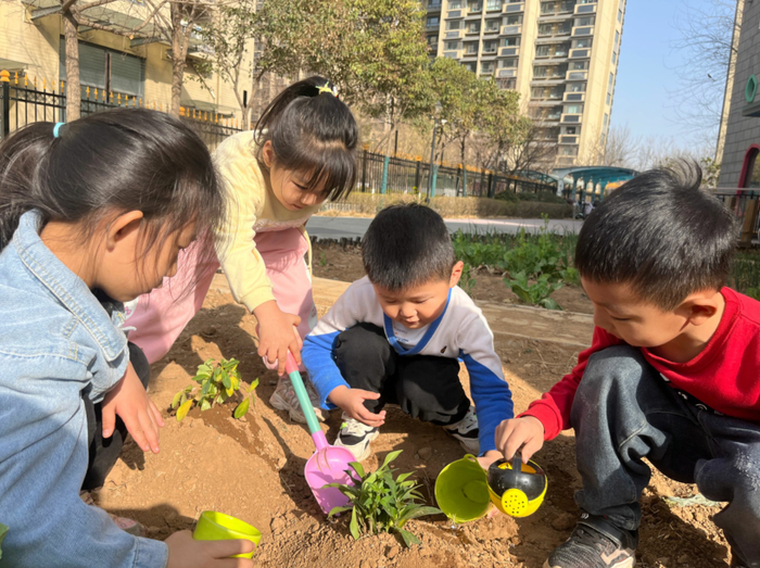 植一株绿色，溢一片春光！历下区百合幼教集团开展植树节活动