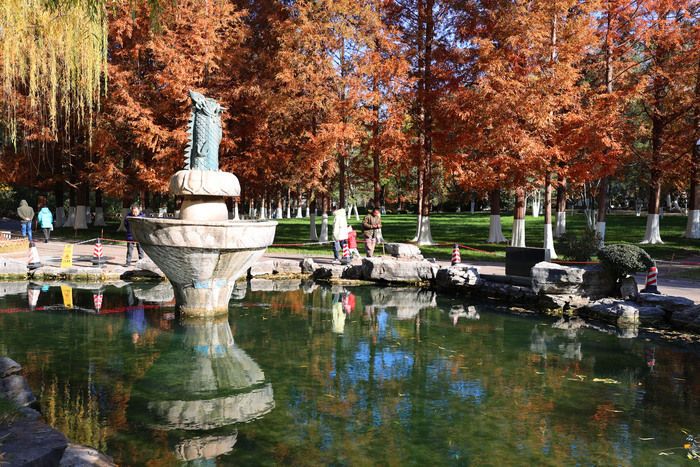 诗境感拉满！泉水叮咚鱼儿欢 色彩斑斓如画卷