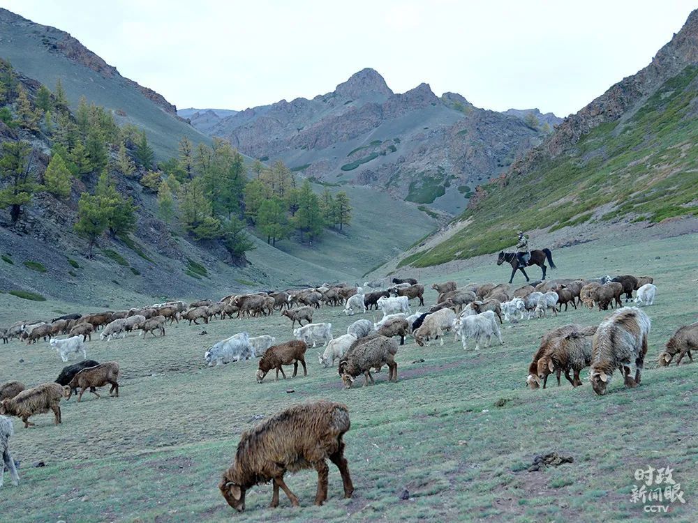 第三次新疆座谈会，习近平这样阐释新时代党的治疆方略