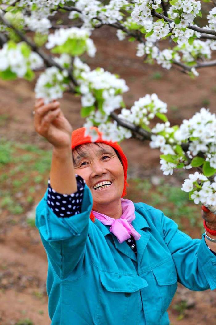 【春耕进行时】回看舜网记者带您走过的这些地方