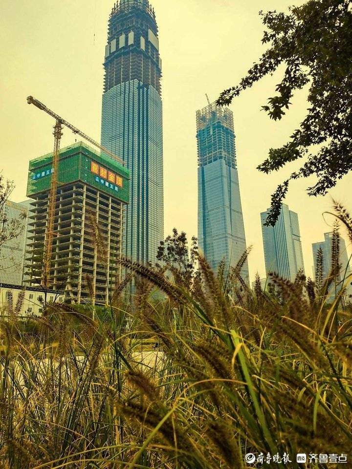 秋季里红橙黄绿青蓝紫七色俱全，实拍济南CBD高楼间的美丽自然