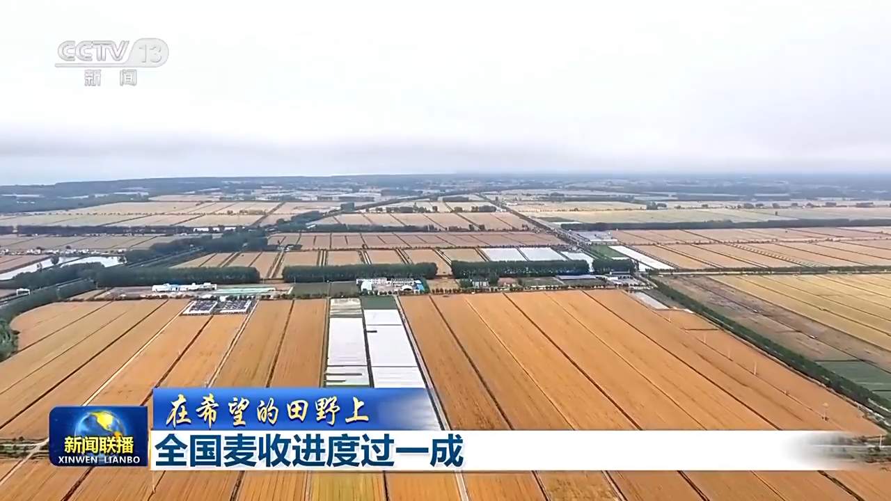 4300多万亩!全国麦收进度超10%