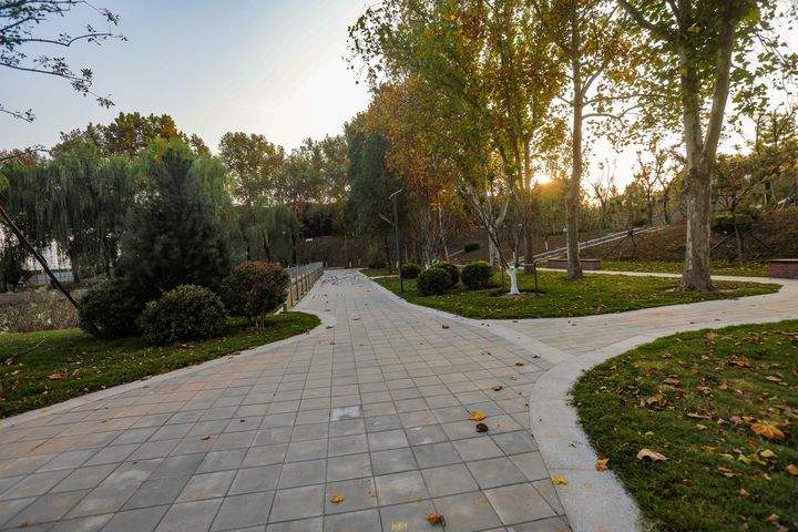 黄河岸边因地制宜强化游憩功能，新增“下沉式”生态公园