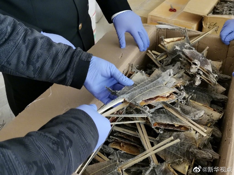 雷霆出击！海关破获国家二级保护野生动物制品走私案
