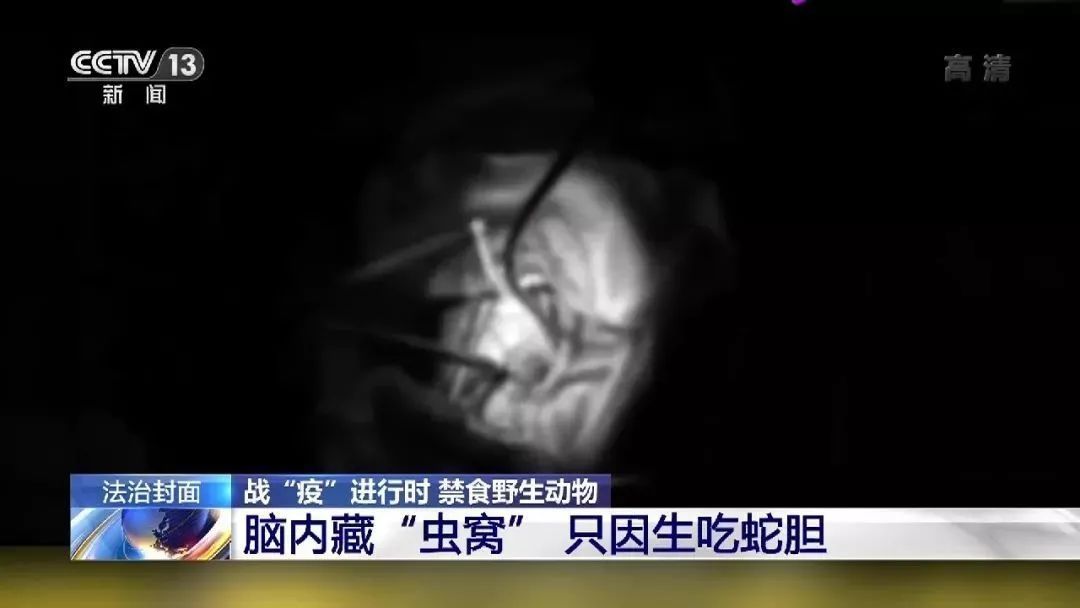 儿童刊物称果子狸可吃？武大出版社回应