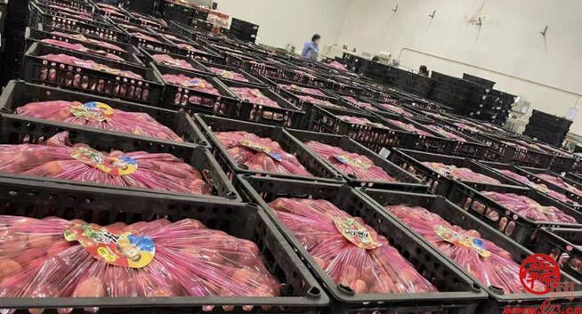 济南家家悦：保供稳价不停歇  守好抗疫“民生线”