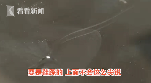 5个熊孩子车顶蹦迪车损1万多 没有家长肯担责：踩一下不至于坏了