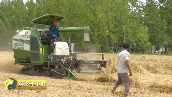 做一天“农田保姆”=上海打10天工？有人一天能赚3000元！