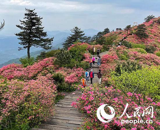 从“假日经济”看消费潜力：新技术、新业态、新增量动力足