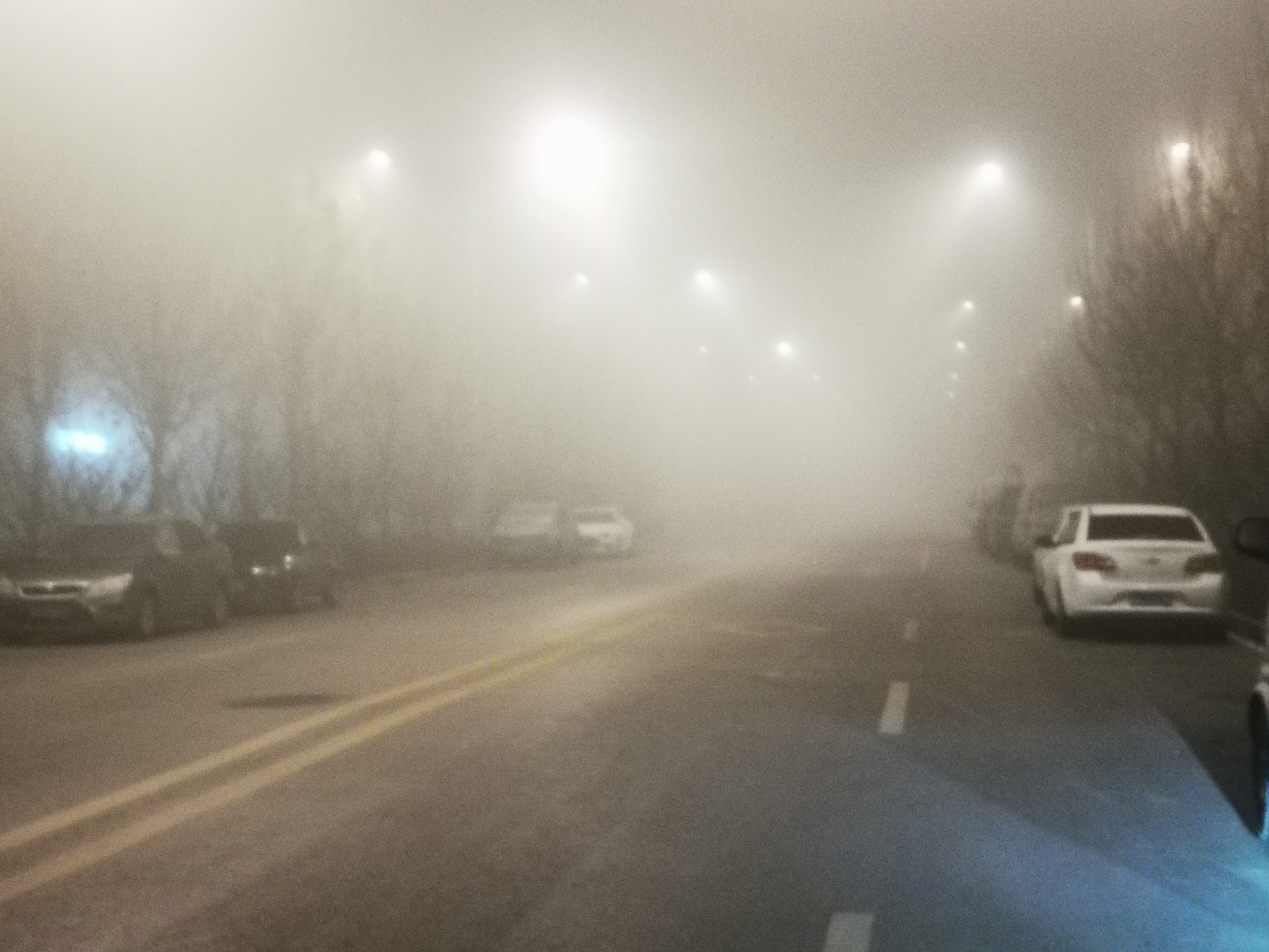 山东继续发布大雾橙色预警，局部地区能见度不足50米，多条高速关闭