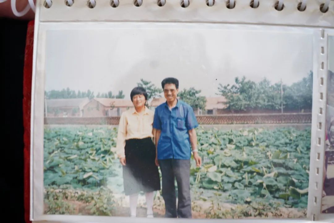 寿光蔬菜与韩师傅的故事