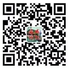 直播预告：30个国家和地区、240余位华侨华人聚首济南谋发展