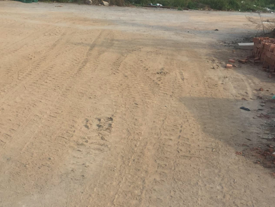 【啄木鸟在行动】新泺大街与凤凰路交汇处西南角存在扬尘隐患