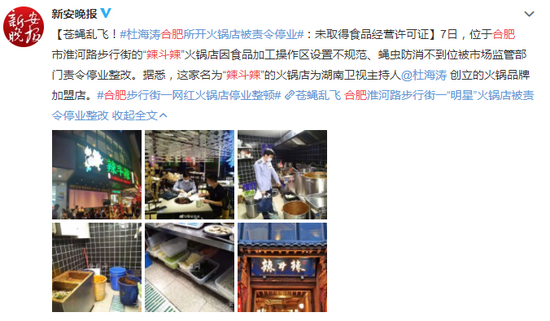 食客火锅汤菜中发现苍蝇！杜海涛开的火锅店被责令停业