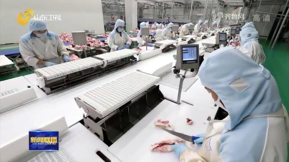 【新春走基层】山东优质农产品丰富大湾区百姓“菜篮子”