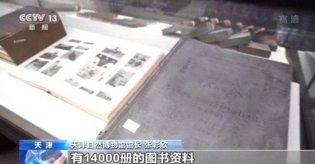 标本“活”起来 古动物明星圈粉百万 带你探秘天津自然博物馆