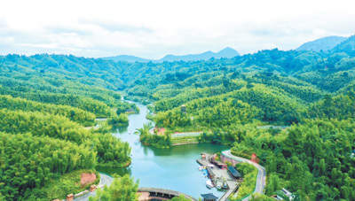 人民日报记者调查：用竹子代替塑料，潜力有多大？