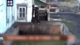 北极熊“组团”造访 但这个画面却让人心疼……