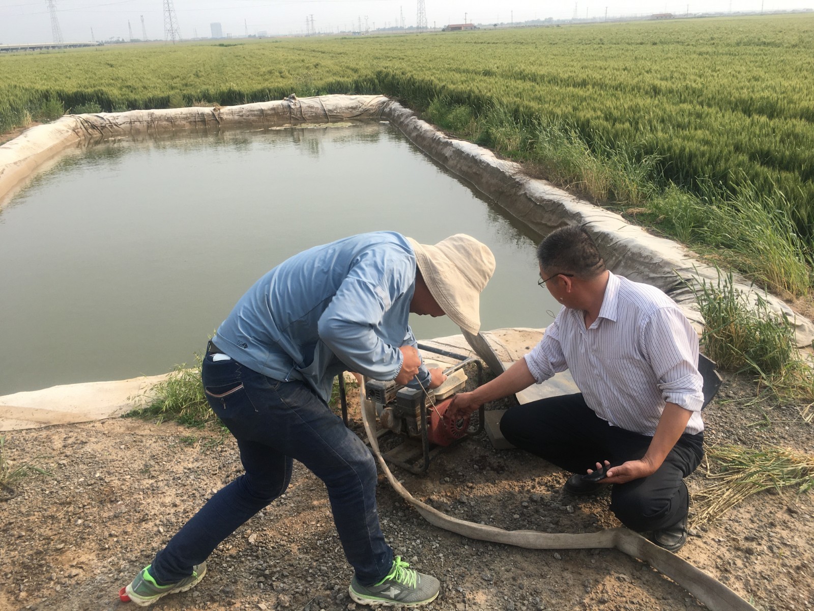 无人机防治小麦条锈病，潍坊滨海区大家洼街道打响麦田保卫战