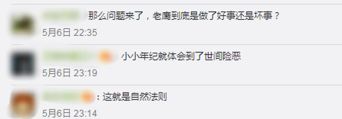 童年阴影了!带孩子放生老鼠被老鹰吃了 6岁儿子心态被亲爸搞崩了