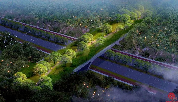 济南生态绿化项目｜“山东省第一绿色生态桥”佛慧山绿道连接桥今年8月底竣工