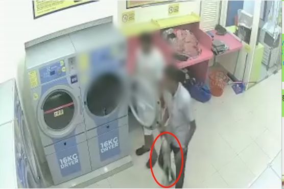 男子给猫脱水致其死亡，被判监禁34个月，罚6.8万元