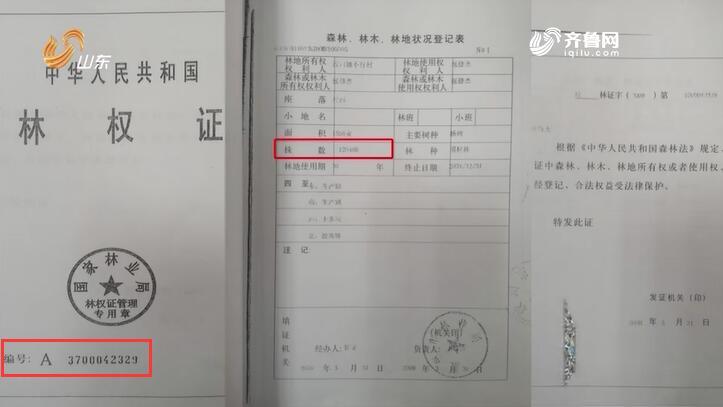 通过法院拍得1506亩林地有证无地 胶州市自然资源局工作人员：管不了