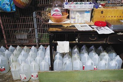 90后博士生和他的“地下猫城”