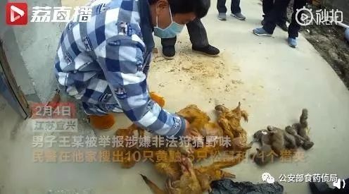 儿童刊物称果子狸可吃？武大出版社回应