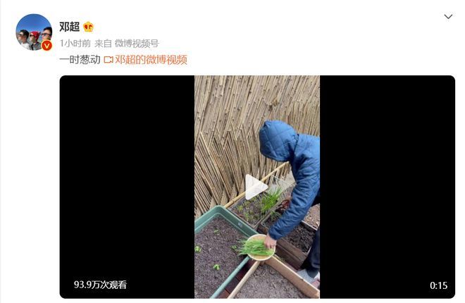 孙俪拍邓超雨中剪葱 玩谐音梗拌嘴甜蜜十足