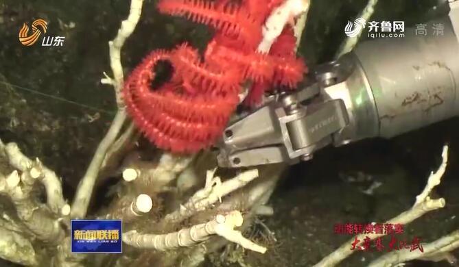 【动能转换看落实·大竞赛 大比武】山东：攻关核心技术 助推动能转换