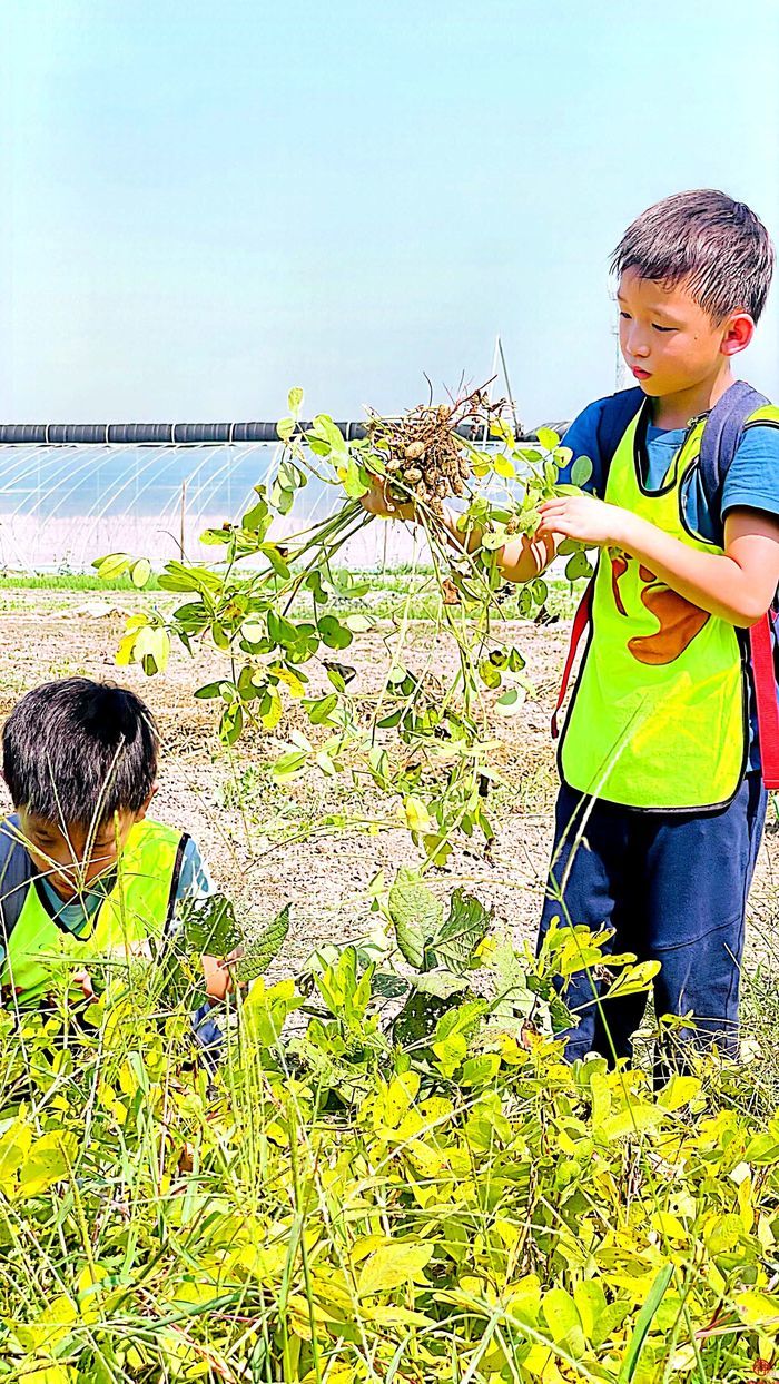 四园联动 协同育人：让劳动教育真正发生