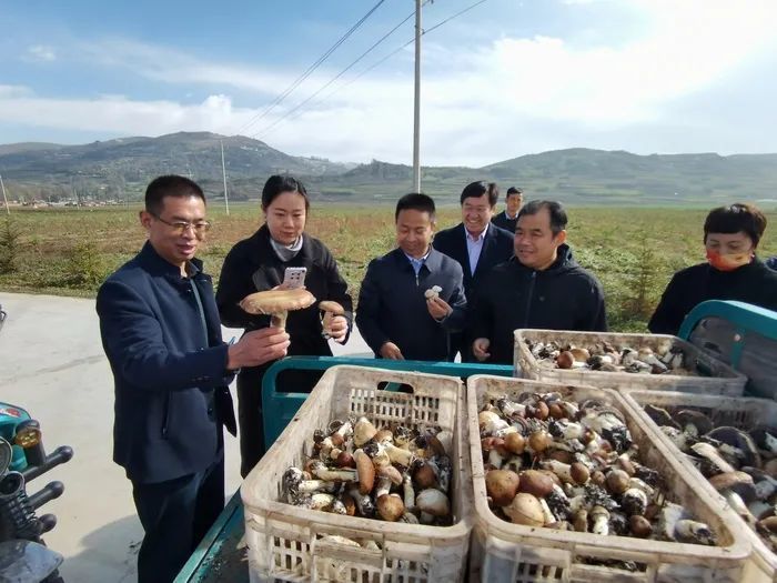 济南市投资促进局携企业赴甘肃临夏州开展产业对接，多个合作意向现场达成