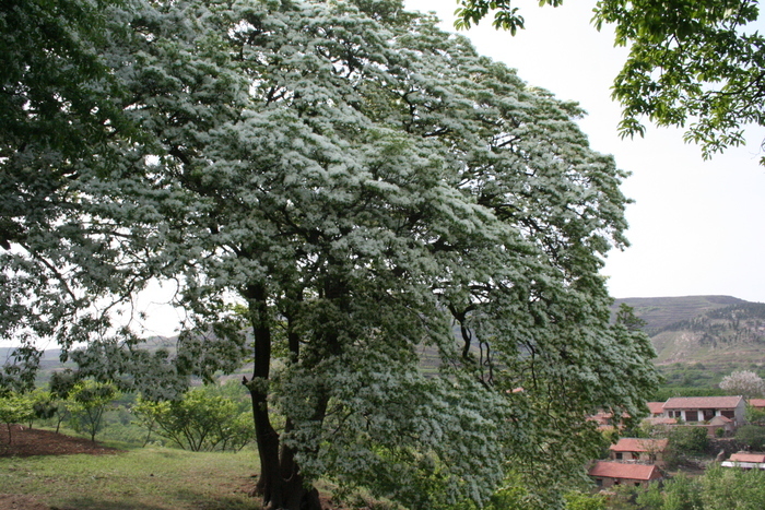 山东有条“天路”走红网络 一年四季景色各异 你最想打卡哪一个