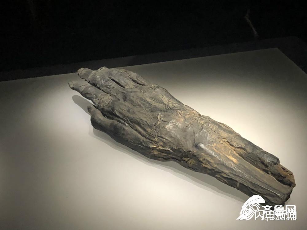 
组图：埃及木乃伊来山东博物馆了！ 100件文物管窥神秘古文明