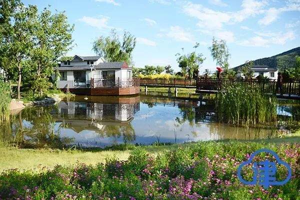 【观察】一道沟,一副担;一畦稻,一幅画