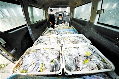 武汉人喜欢吃活鱼，活鱼来了