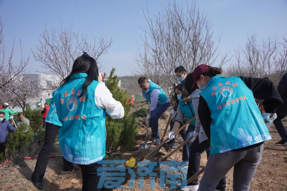 市直机关青年“泉心全意”志愿团开展“践行生态文明思想为泉城添一抹绿色”青年理论联学暨义务植树活动