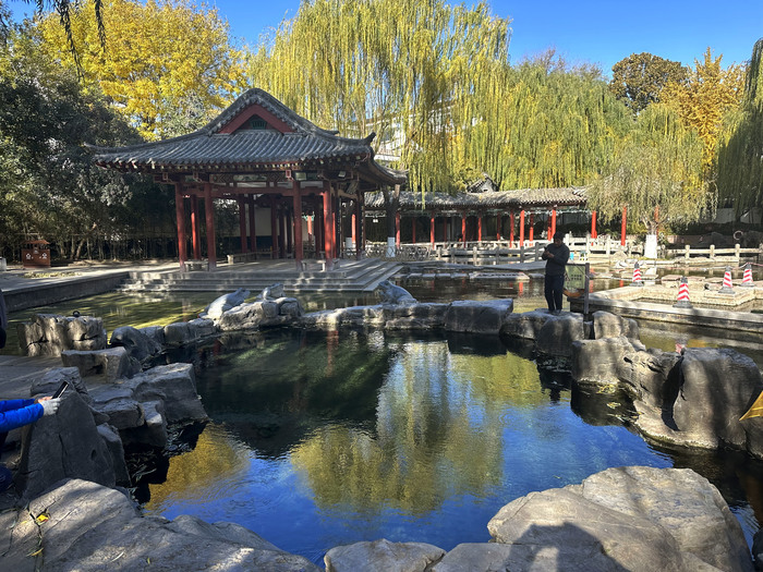 诗境感拉满！泉水叮咚鱼儿欢 色彩斑斓如画卷