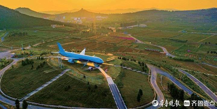 一朵花滋润一座城，济南平阴县如何壮大玫瑰产业？