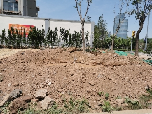 【啄木鸟在行动】淄博路、日照路交叉口西南角绿化带裸土造成扬尘