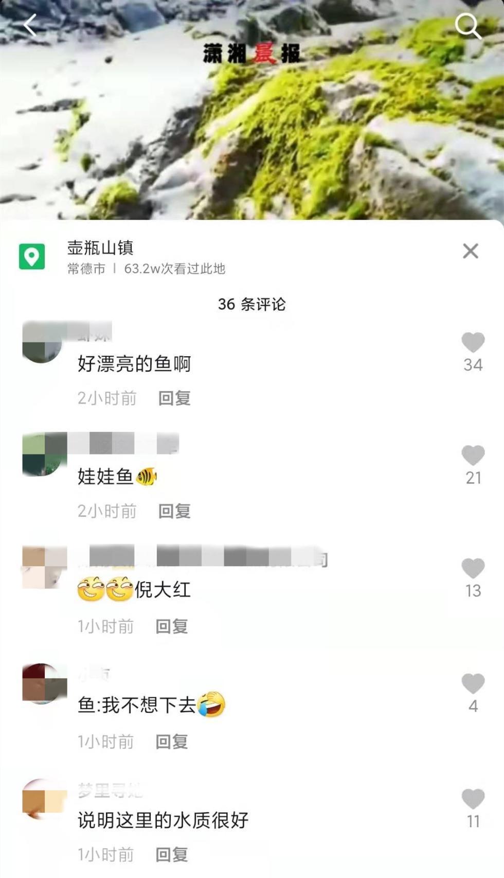 湖南发现罕见金红色娃娃鱼 倪大红是什么梗？