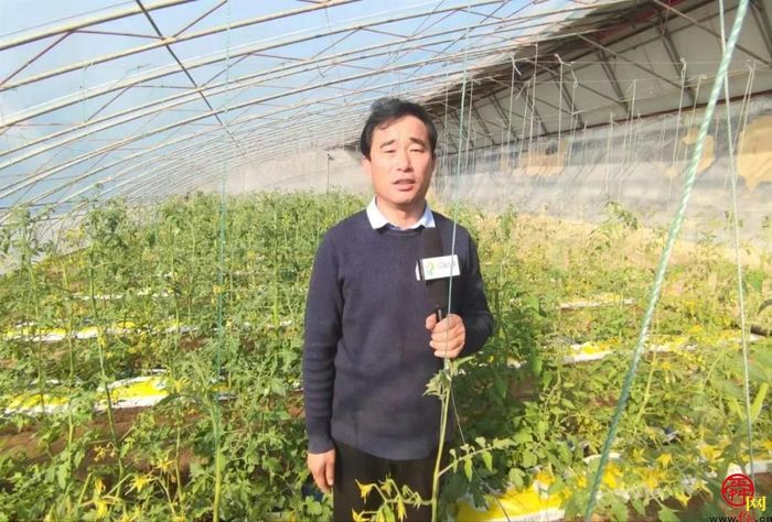 全国劳动模范坐镇的西城高科，8年来为三农创造了哪些惊喜？