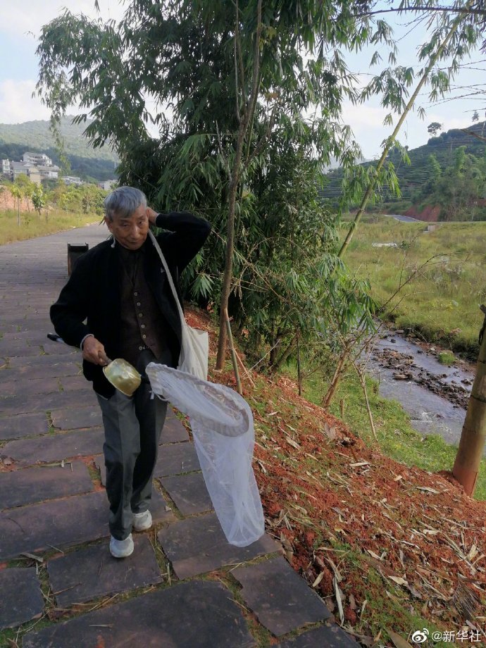 致敬！为了防治疟疾86岁老人研究蚊子70年
