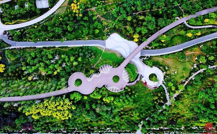 春天里的历下：一幅生机盎然的生态画卷