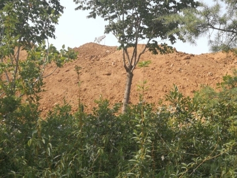 【啄木鸟在行动】市中区分水岭路附近一工地扬尘